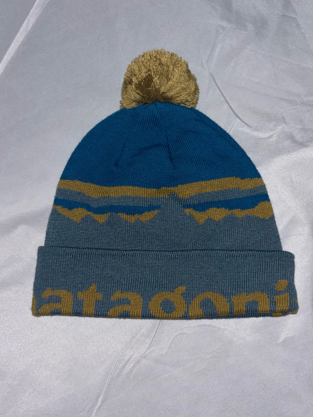 Patagonia Lightweight Powder Town Beanie